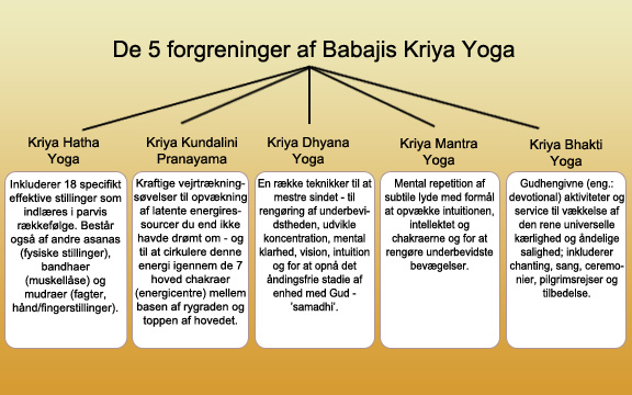 5 Branches of Kriya Yoga
